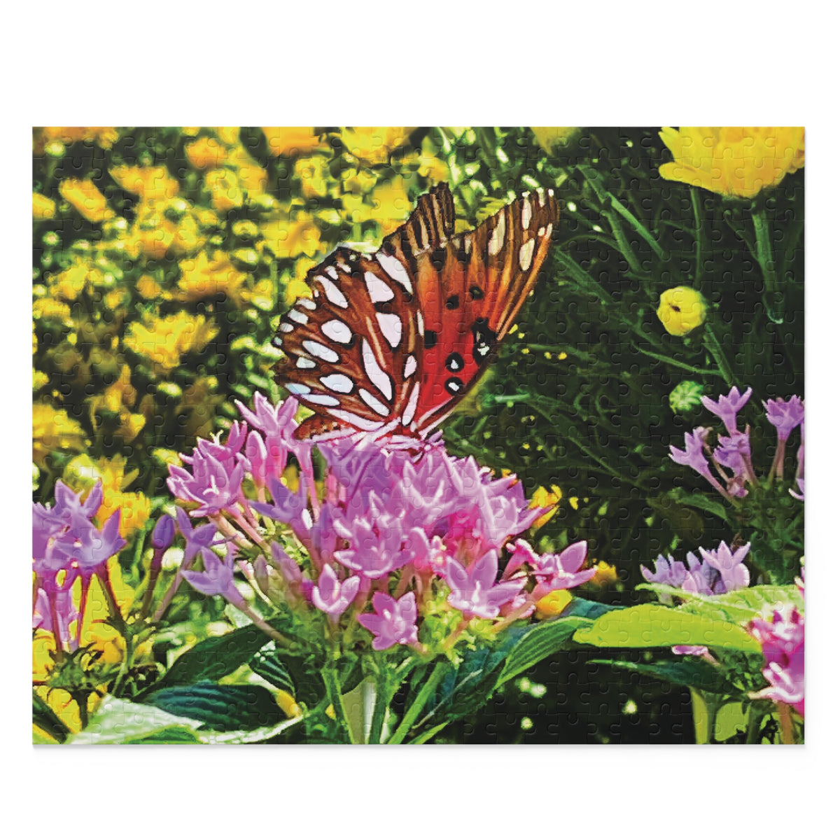 Flutter of Summer Puzzle