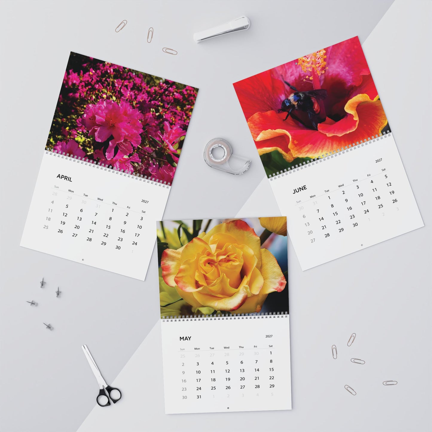 Savannah Seasons: Garden in Bloom 2027 Calendar