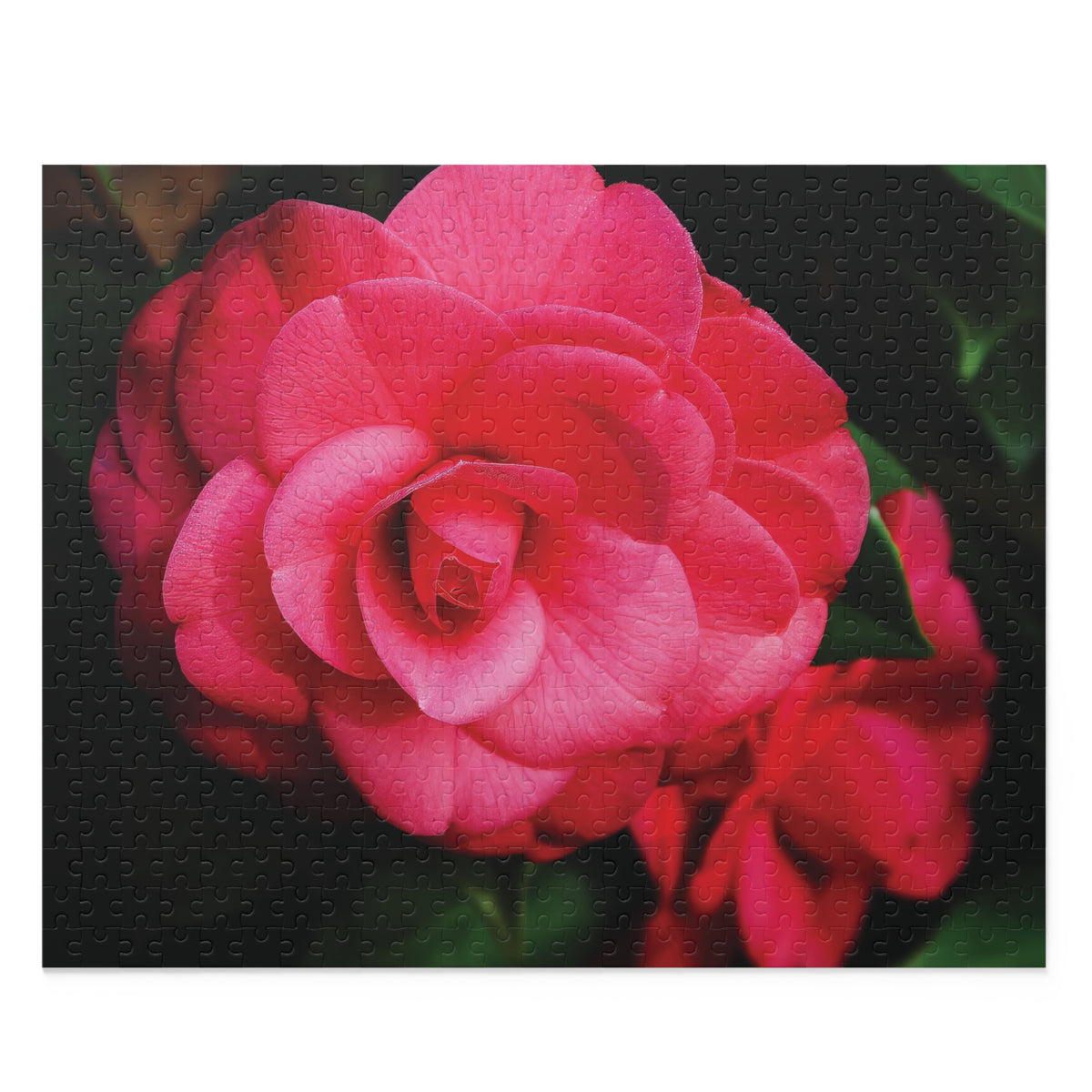 Winter's Rose Puzzle