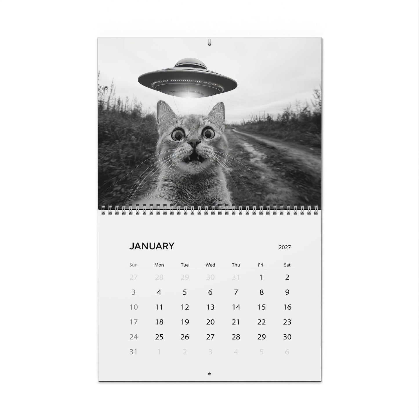 Cosmic Cat Snatchers: A Feline Adventure — 2027 Calendar