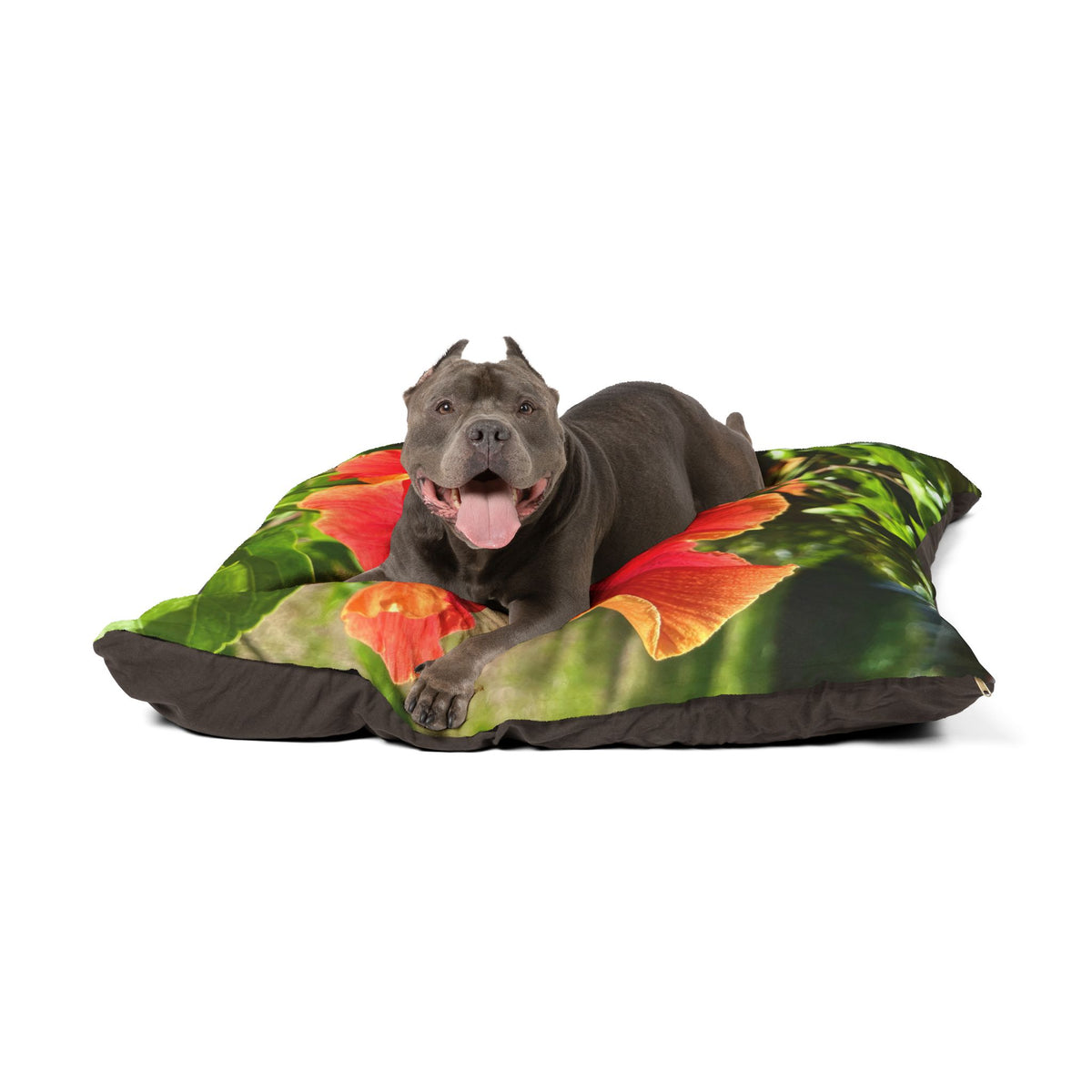 Hibiscus Radiance Pet Pillow