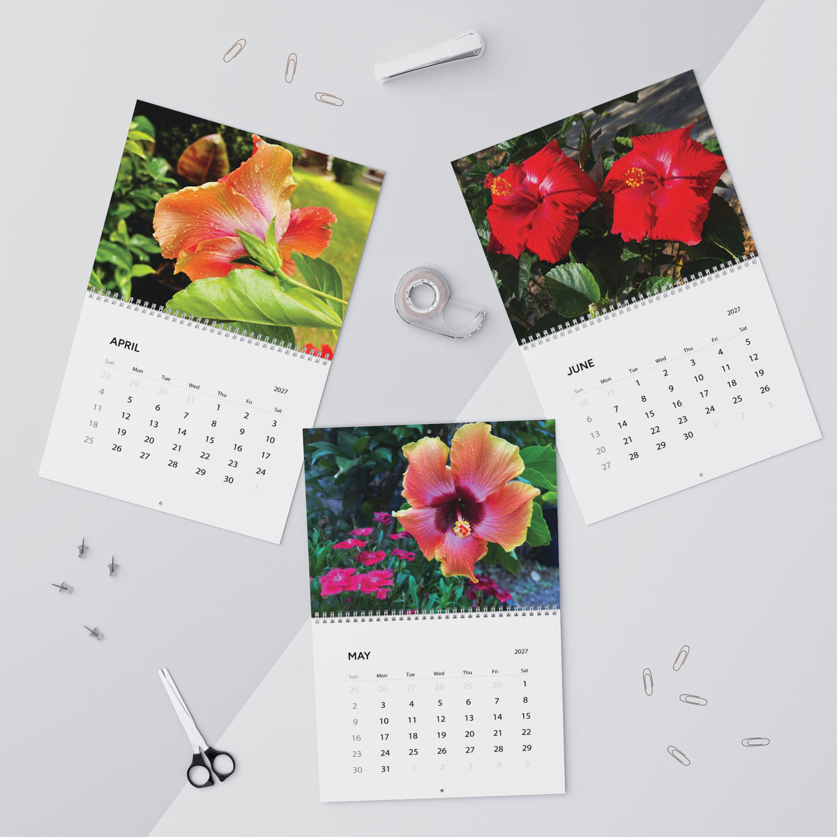 Hibiscus in Bloom 2027 Calendar