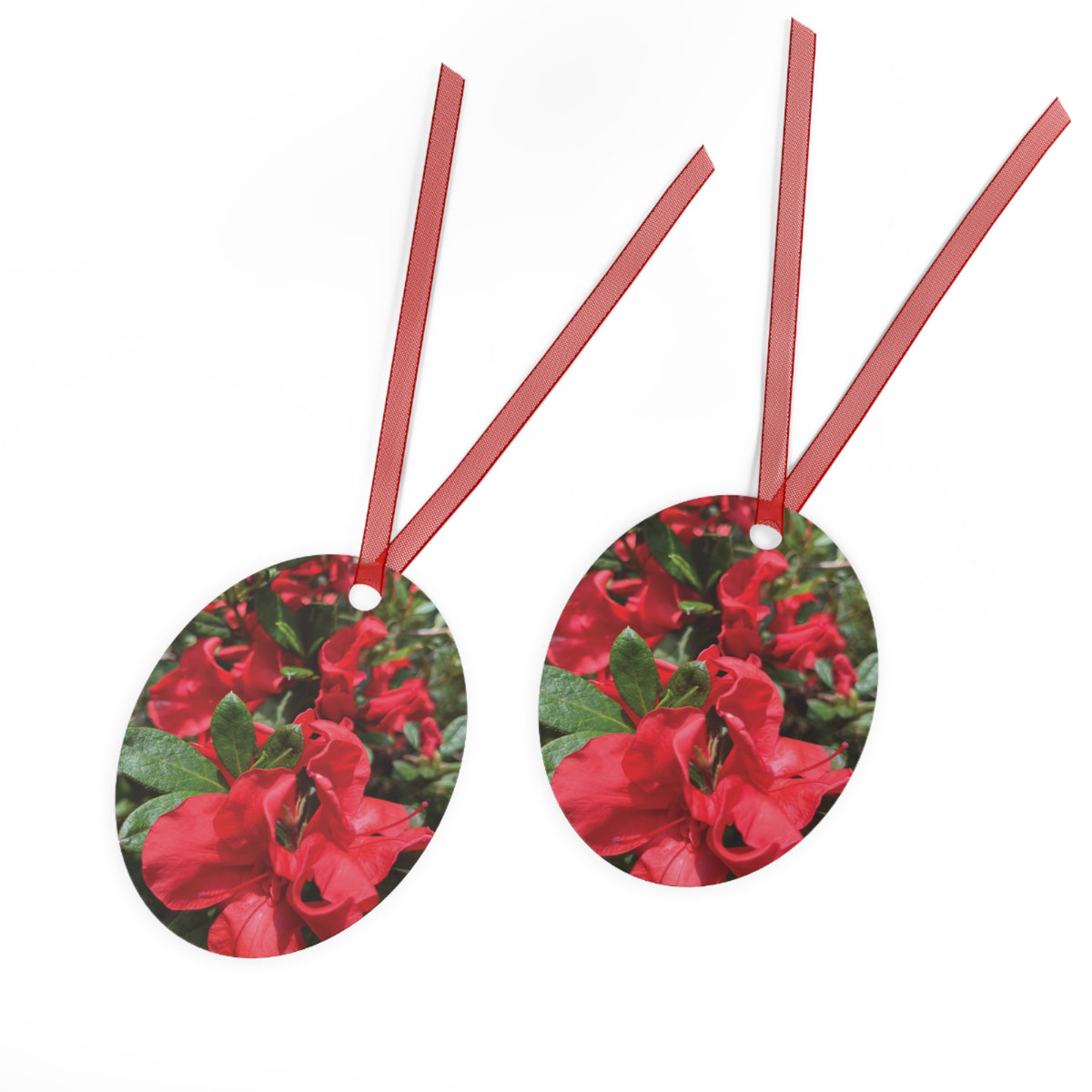 Azaleas