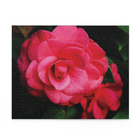 Winter's Rose Puzzle