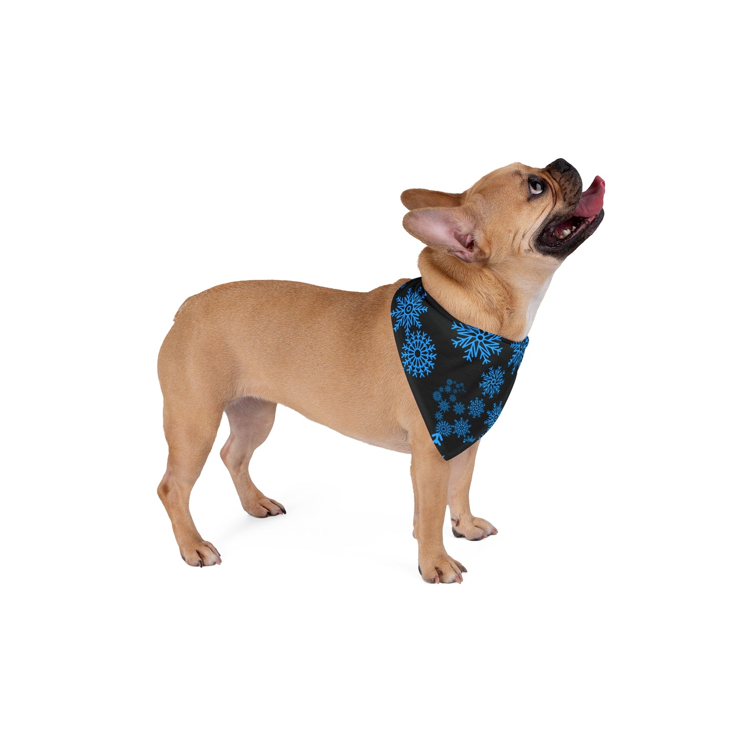 Snowfall in Bloom - Black Bandana