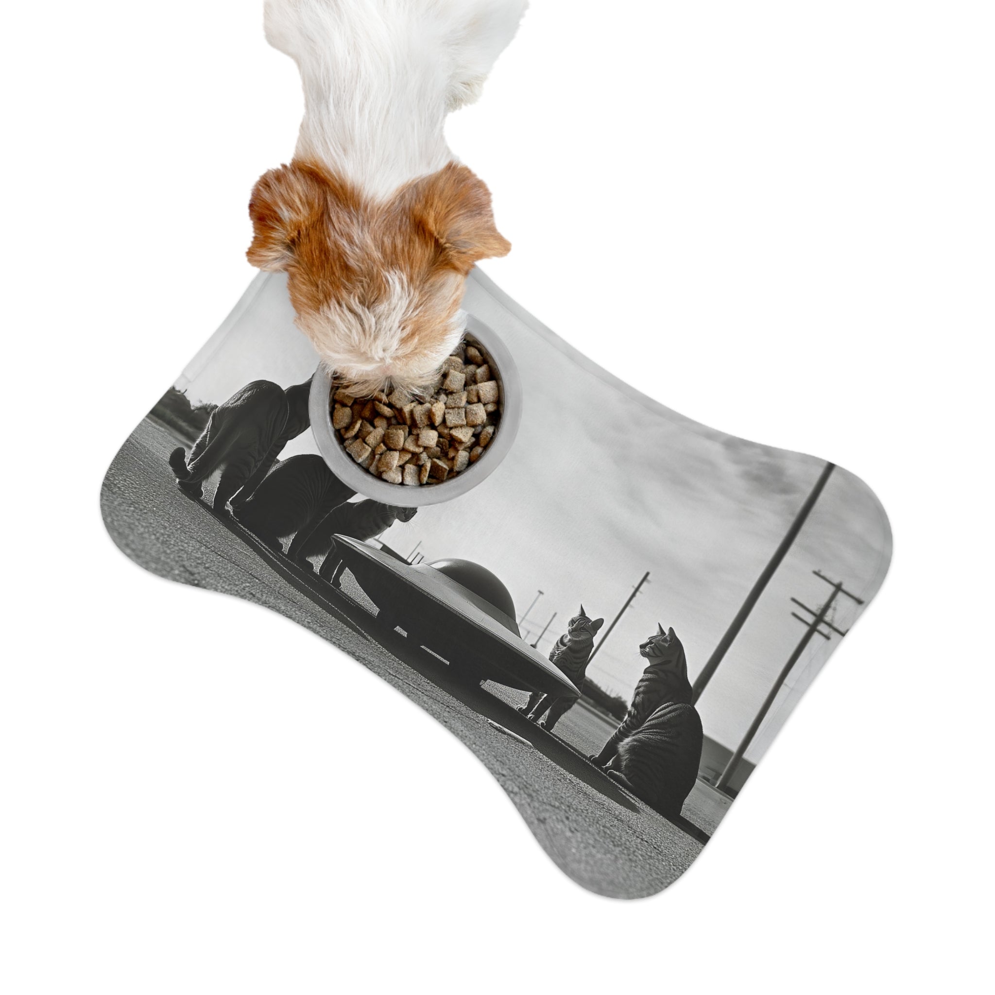 UFO Encounters Feeding Mat