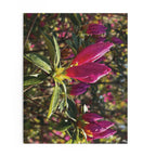 Azalea Buds