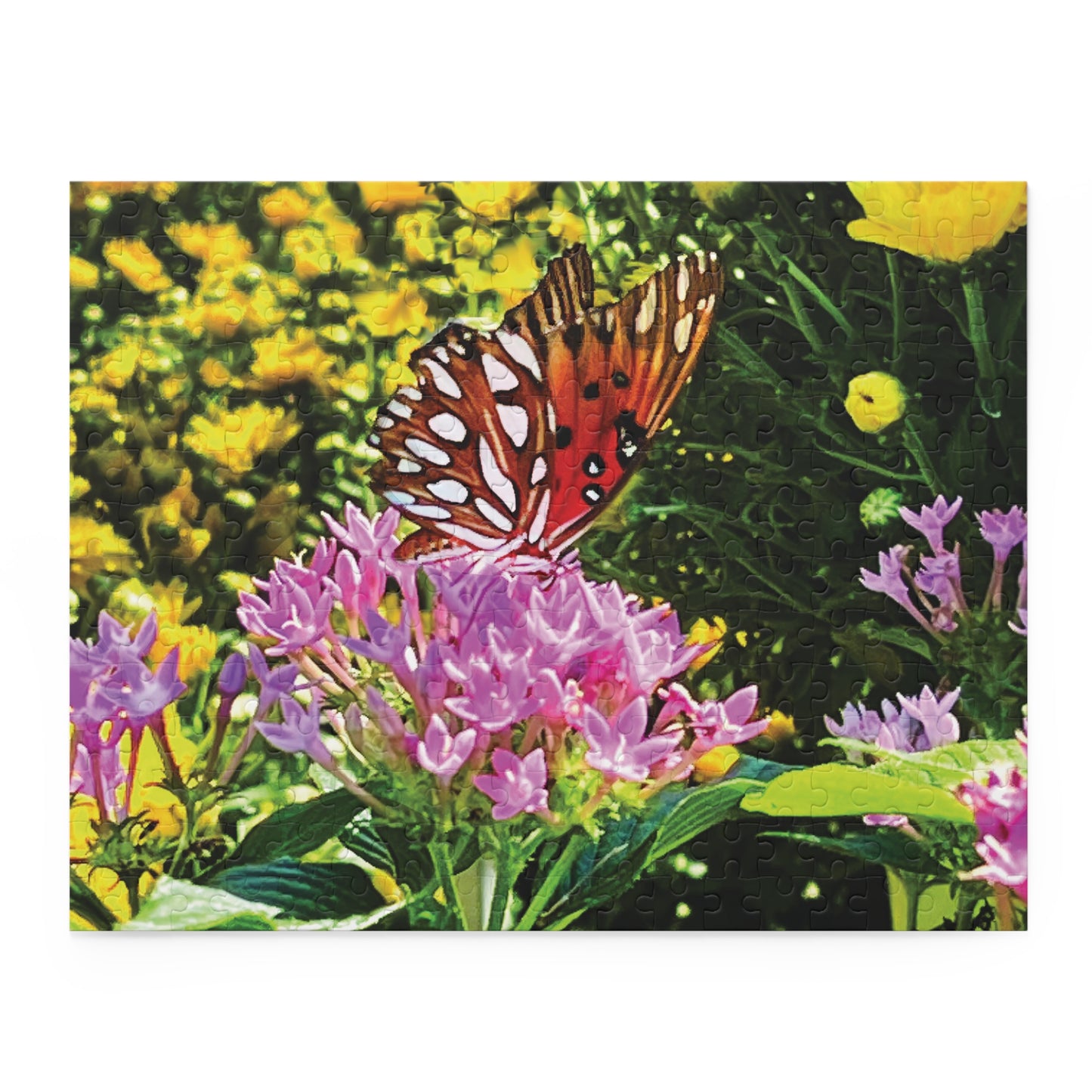 Flutter of Summer Puzzle