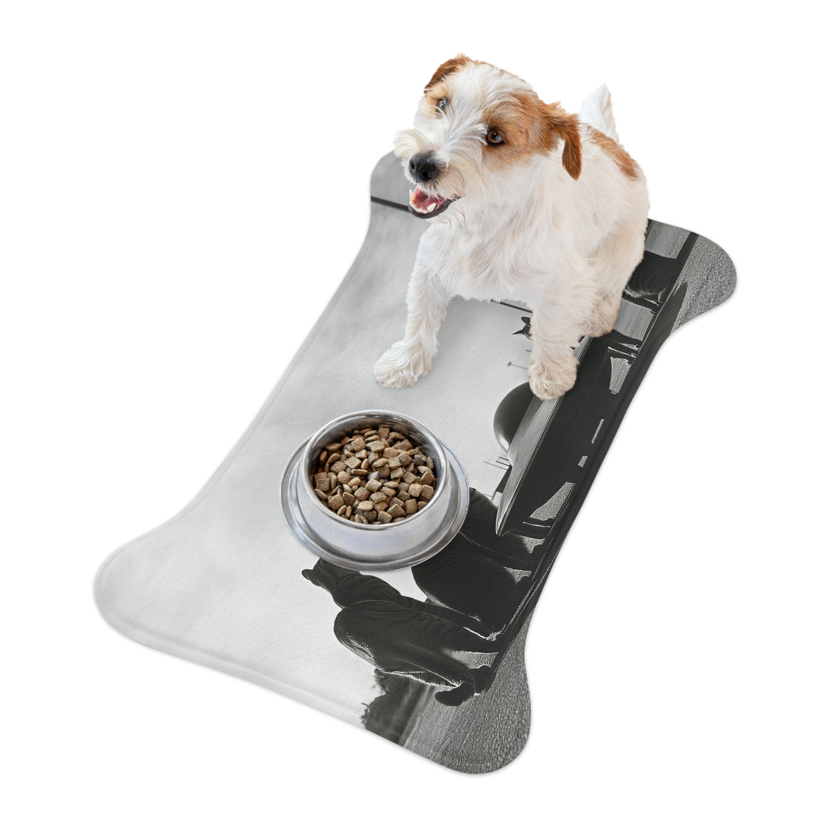 Feline Close Encounters Feeding Mat