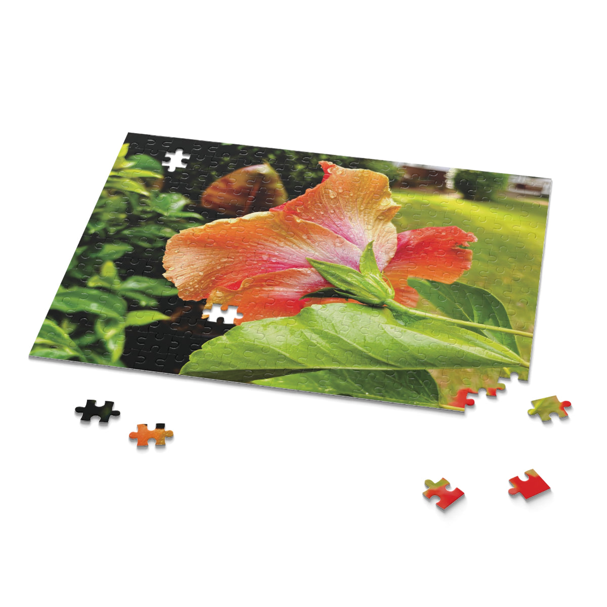 After the Rain Puzzle