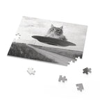 Cat Saucer 1