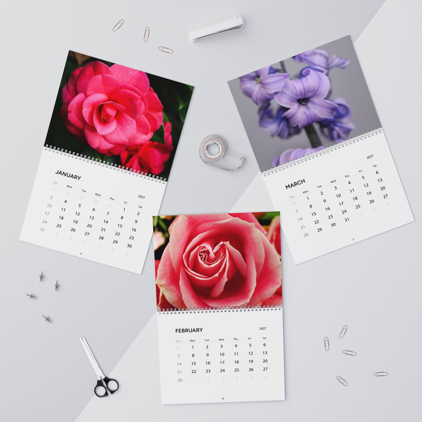 Savannah Seasons: A Year in Bloom 2027 Calendar