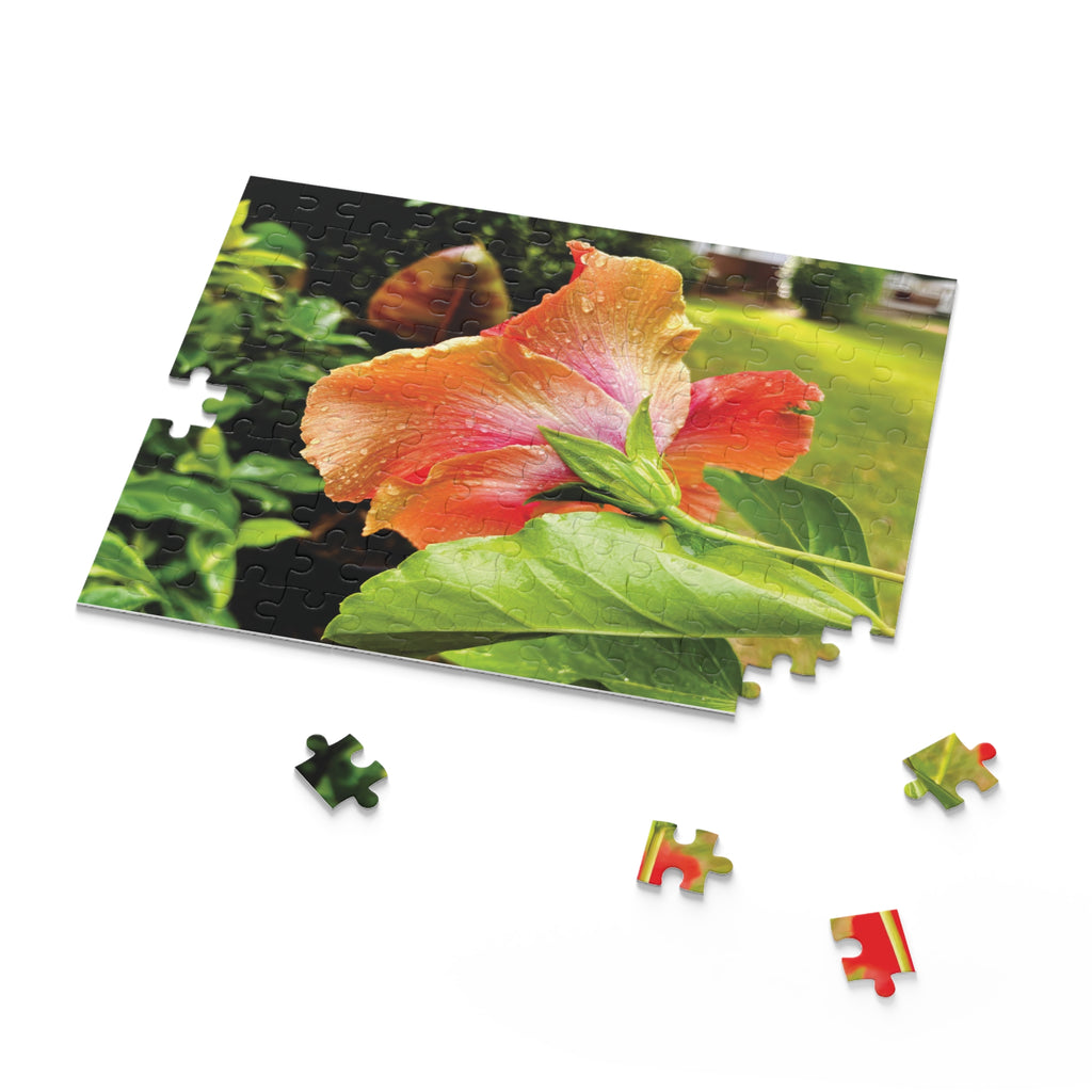 Bloomin' in the Rain