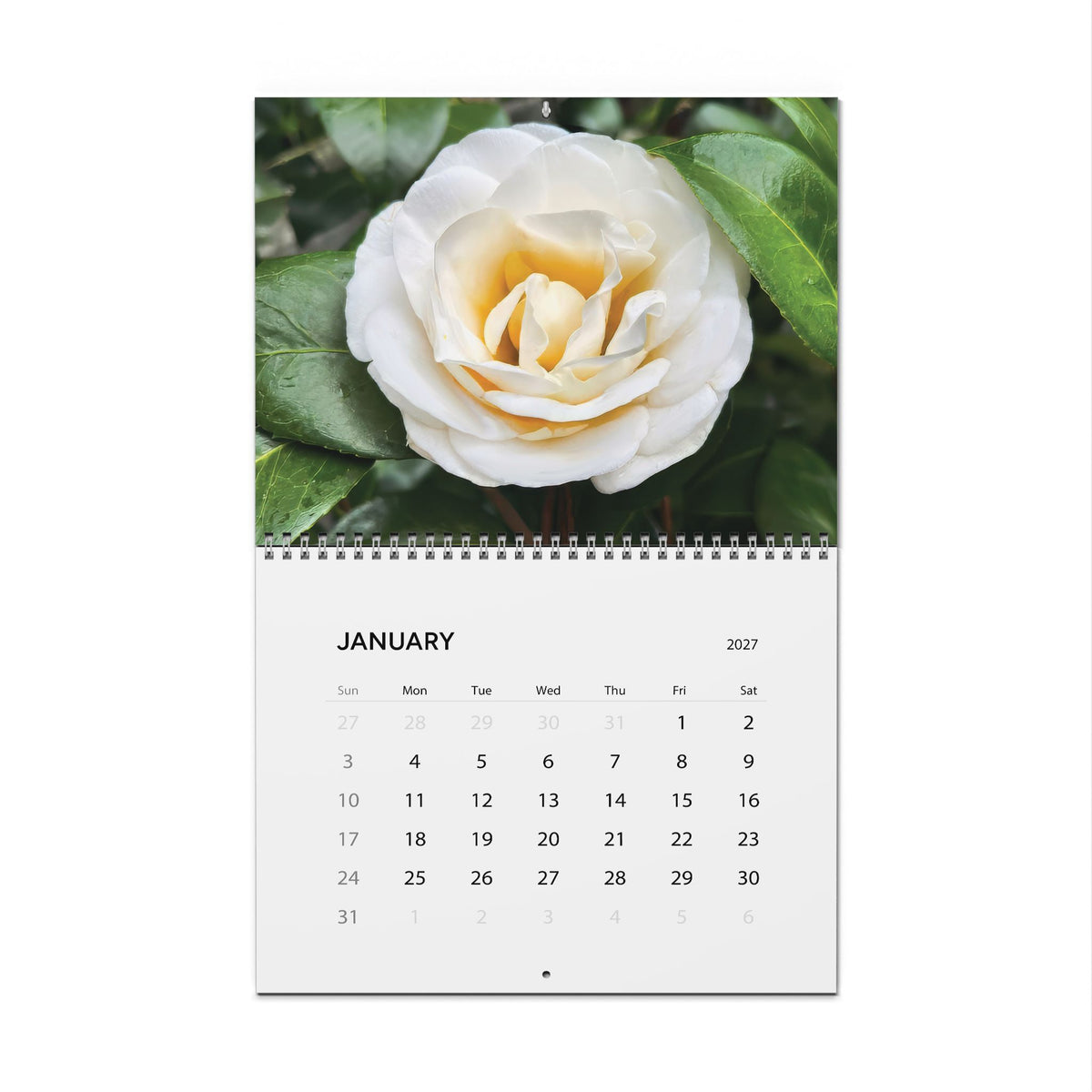 Savannah Seasons: Garden in Bloom 2027 Calendar
