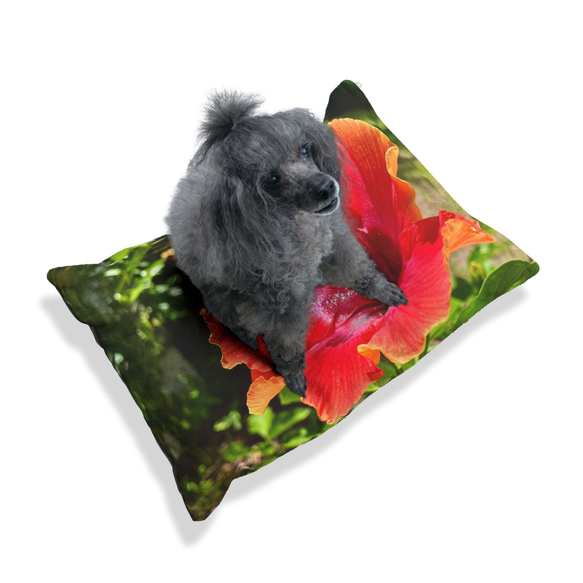 Hibiscus Radiance Pet Pillow
