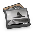 Black Cat Flying Saucer