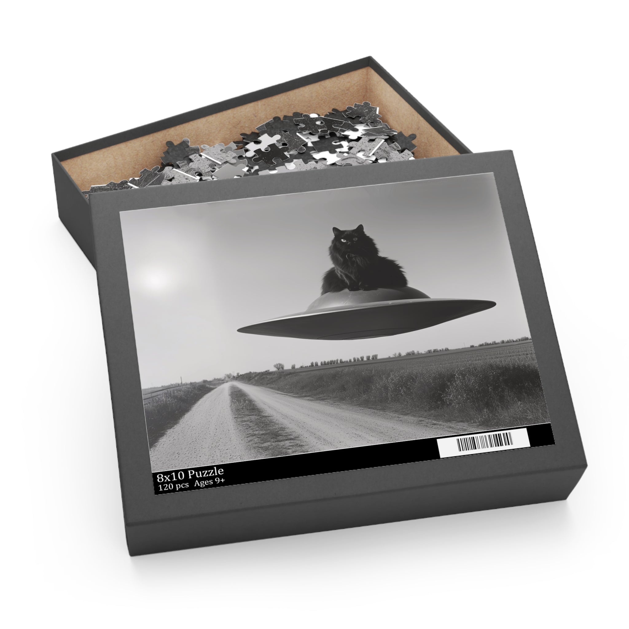 Black Cat Flying Saucer