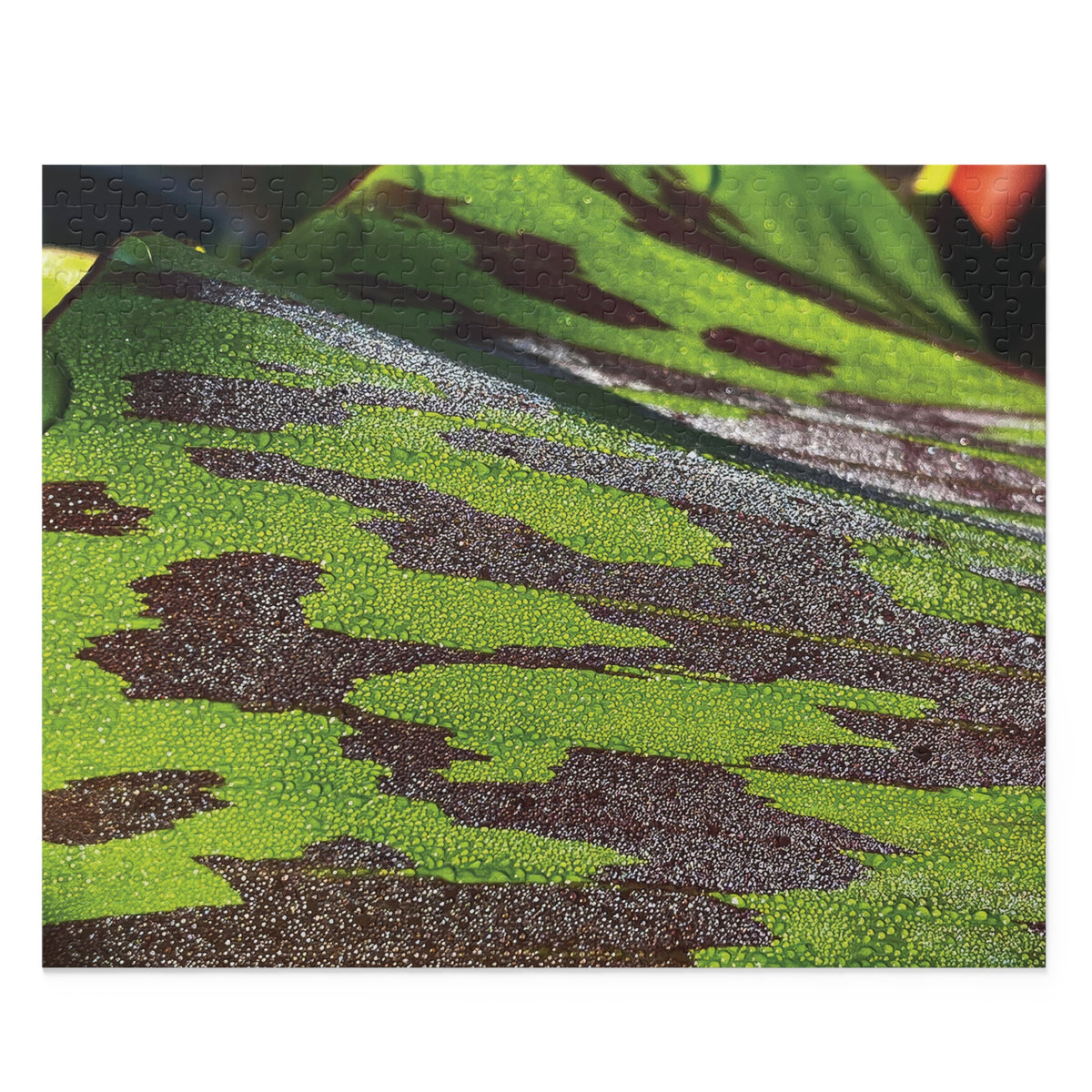 Nature's Glitter Puzzle
