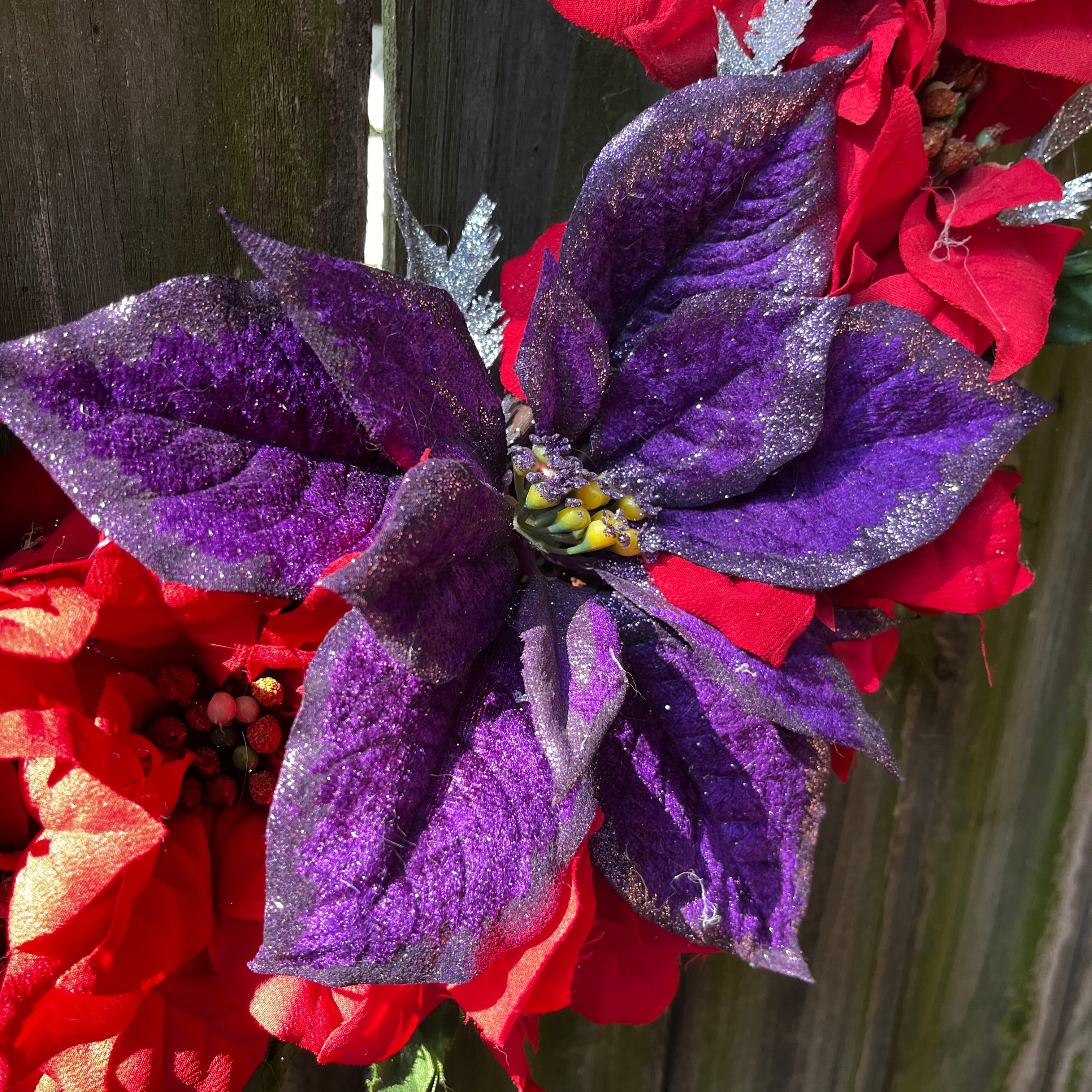 Red & Purple Poinsettia Wreath