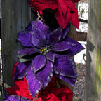 30" Purple & Red Poinsettia Wreath