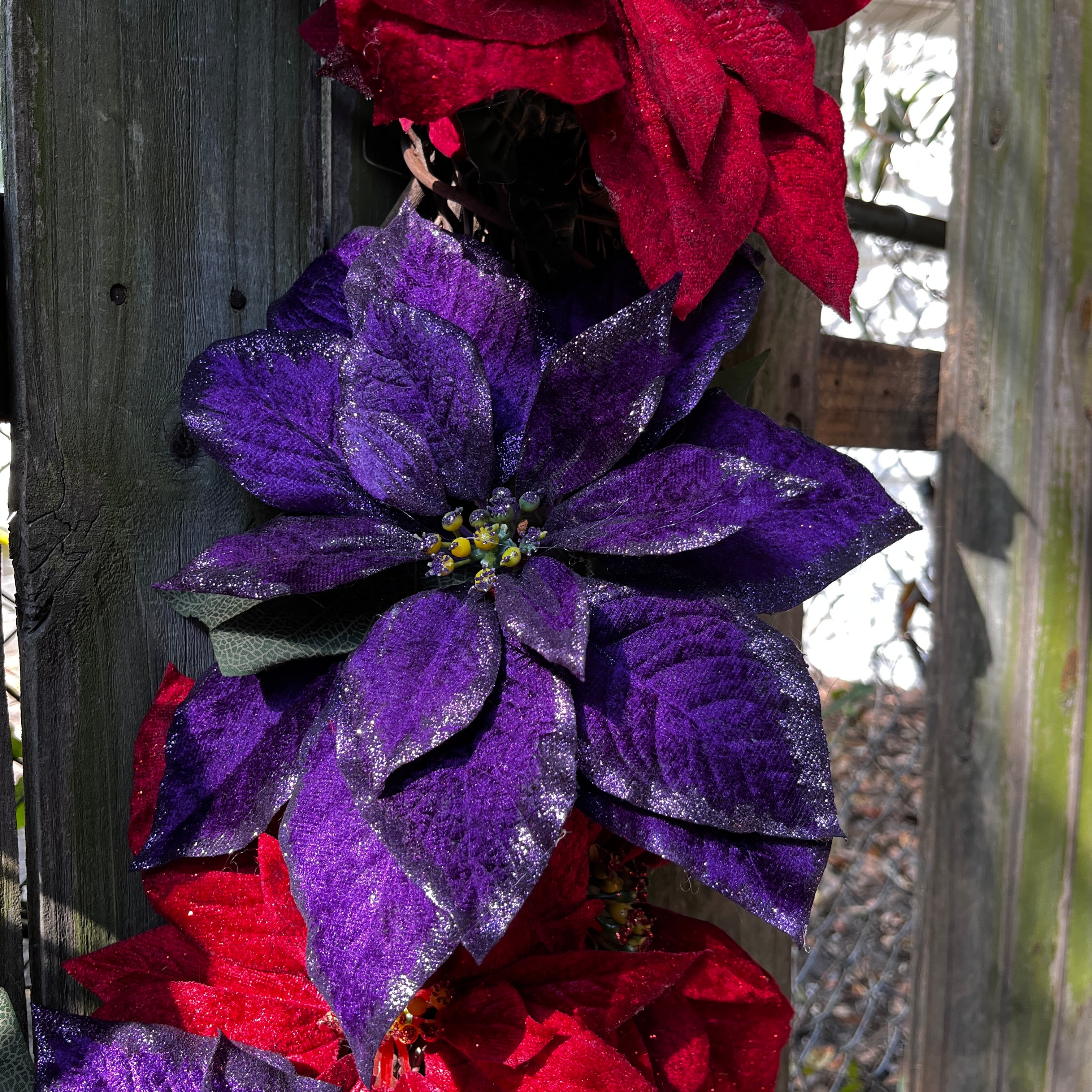 30" Purple & Red Poinsettia Wreath